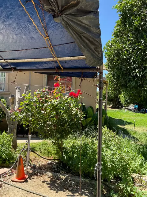 Exterior - 303 Plainsburg Rd, Planada, CA 95365 photo 30 of 46