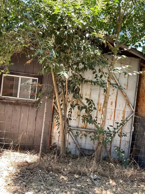 Exterior - 303 Plainsburg Rd, Planada, CA 95365 photo 12 of 46