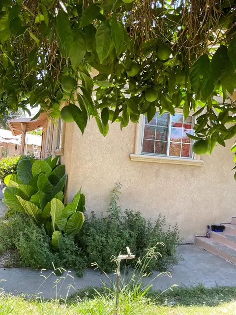 Exterior - 303 Plainsburg Rd, Planada, CA 95365 photo 28 of 46