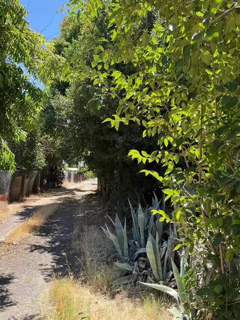 Other - 303 Plainsburg Rd, Planada, CA 95365 photo 3 of 12