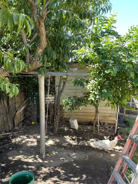 Exterior - 303 Plainsburg Rd, Planada, CA 95365 photo 25 of 46