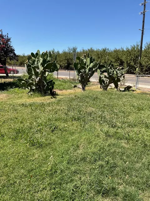 Exterior - 303 Plainsburg Rd, Planada, CA 95365 photo 37 of 46