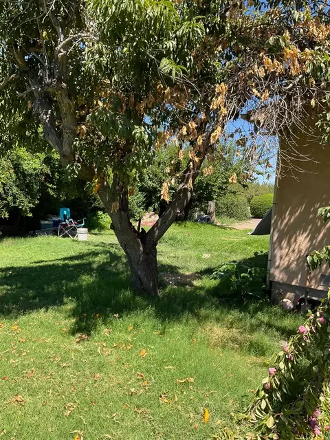 Exterior - 303 Plainsburg Rd, Planada, CA 95365 photo 36 of 46