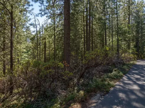 3003 Black Bear Dr, Arnold, CA 95223 photo 5