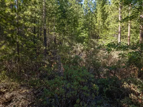 3003 Black Bear Dr, Arnold, CA 95223 photo 14