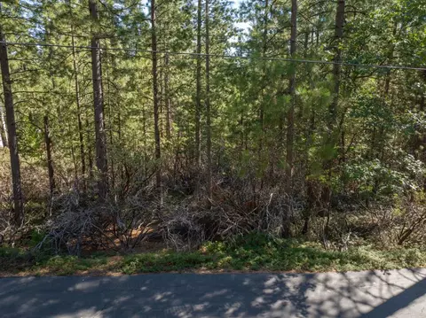 3003 Black Bear Dr, Arnold, CA 95223 photo 6