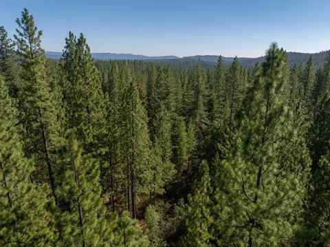 3003 Black Bear Dr, Arnold, CA 95223 photo 4