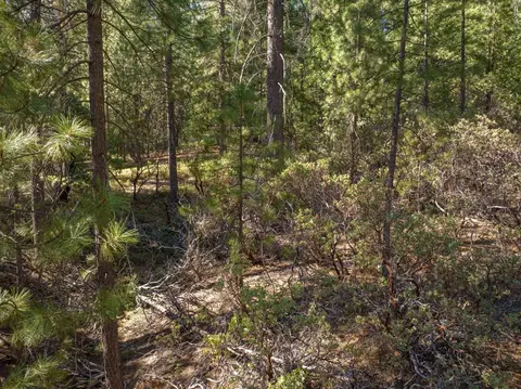 3003 Black Bear Dr, Arnold, CA 95223 photo 20