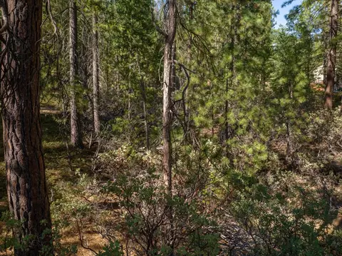 3003 Black Bear Dr, Arnold, CA 95223 photo 19