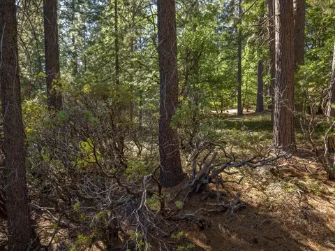 3003 Black Bear Dr, Arnold, CA 95223 photo 18