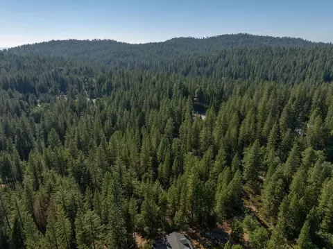 3003 Black Bear Dr, Arnold, CA 95223 photo 9