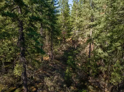 3003 Black Bear Dr, Arnold, CA 95223 photo 17