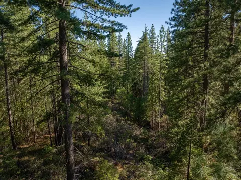 3003 Black Bear Dr, Arnold, CA 95223 photo 10