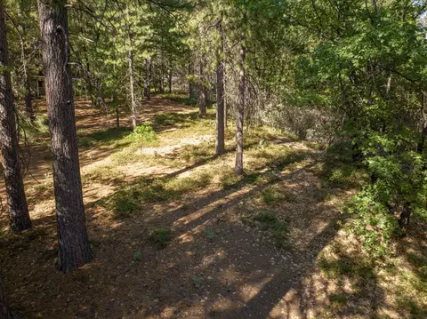 3003 Black Bear Dr, Arnold, CA 95223 photo 3