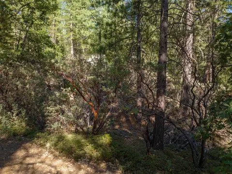 3003 Black Bear Dr, Arnold, CA 95223 photo 13