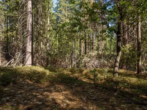 3003 Black Bear Dr, Arnold, CA 95223 photo 12
