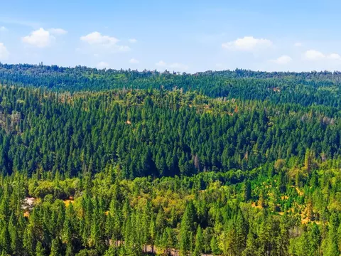 Other - 3520 Mining Brook Rd, Placerville, CA 95667 photo 6 of 6