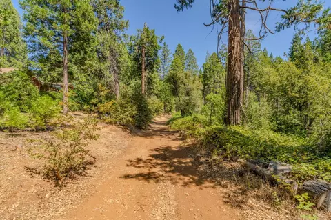 0 Gold Creek Trl, Volcano, CA 95689