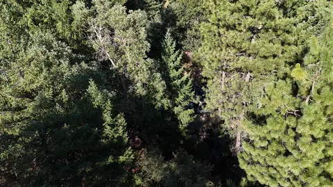 360 Power Line Rd, Hayfork, CA 96041 photo 4