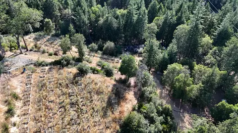 360 Power Line Rd, Hayfork, CA 96041 photo 14