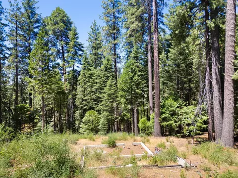 1704 Boro Ct, Arnold, CA 95223 photo 2