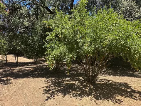 Exterior - 4151 Bonanza Way, Loomis, CA 95650 photo 11 of 13