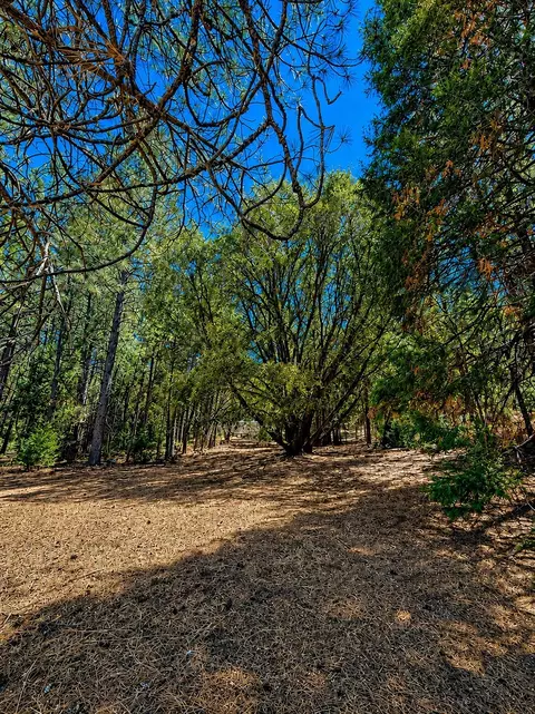 4701 Vogelsang Ln, Placerville, CA 95667 photo 12