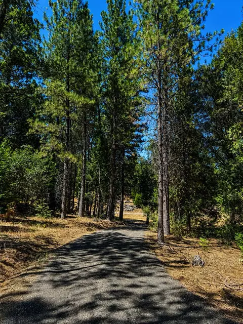 4701 Vogelsang Ln, Placerville, CA 95667 photo 14