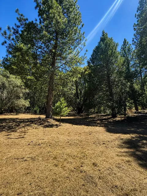 4701 Vogelsang Ln, Placerville, CA 95667 photo 13