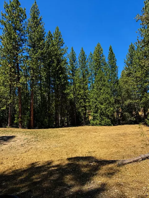 4701 Vogelsang Ln, Placerville, CA 95667 photo 8