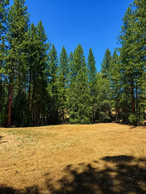 4701 Vogelsang Ln, Placerville, CA 95667 photo 6