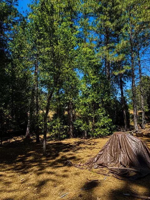 4701 Vogelsang Ln, Placerville, CA 95667 photo 10