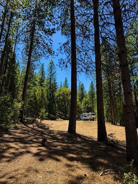4701 Vogelsang Ln, Placerville, CA 95667 photo 11