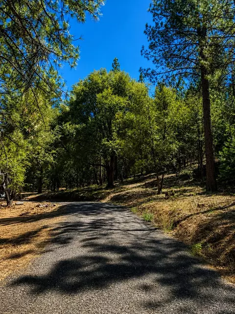 4701 Vogelsang Ln, Placerville, CA 95667 photo 3