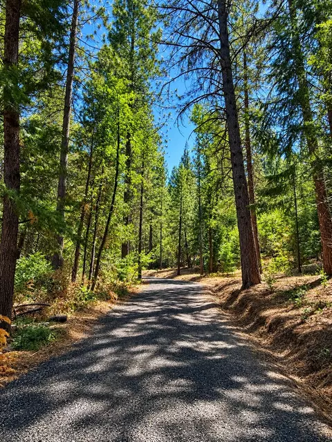 4701 Vogelsang Ln, Placerville, CA 95667 photo 2