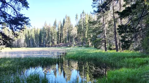 0 Forest 41 Rd, Soda Springs, CA 95728