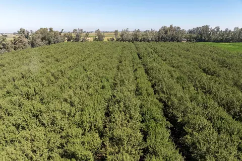 0 August, Hilmar, CA 95324 photo 9