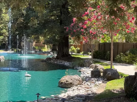 View/Area - 3701 Colonial Dr #84, Modesto, CA 95356 photo 3 of 4