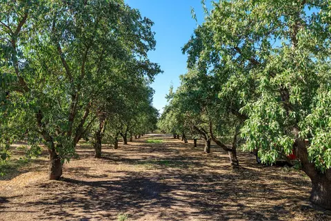 Other - 8460 E Keyes Rd, Hughson, CA 95326 photo 10 of 14
