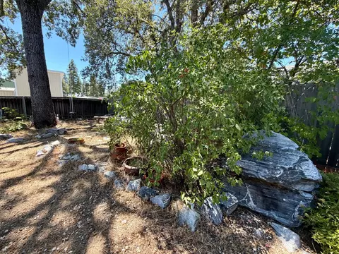 Exterior - 55 Oak Tree Ct, Murphys, CA 95247 photo 8 of 27