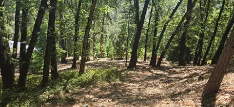 16929 Lawrence Way, Grass Valley, CA 95949 photo 4