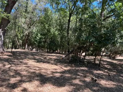 2930 Clay St, Placerville, CA 95667 photo 9