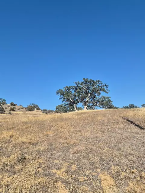 0 0 West Ruby King Rd, Stonyford, CA 95979 photo 4