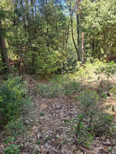 12 Ringtail, Georgetown, CA 95634 photo 14