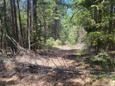 12 Ringtail, Georgetown, CA 95634 photo 8