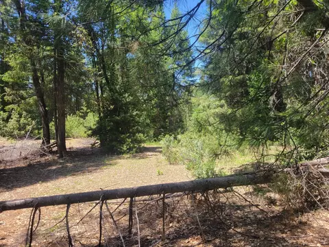 12 Ringtail, Georgetown, CA 95634 photo 12