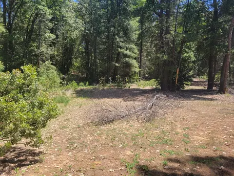 12 Ringtail, Georgetown, CA 95634 photo 5