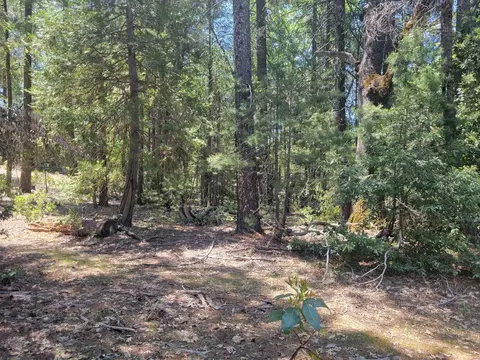 12 Ringtail, Georgetown, CA 95634 photo 6
