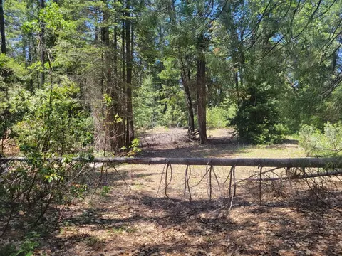 12 Ringtail, Georgetown, CA 95634 photo 11