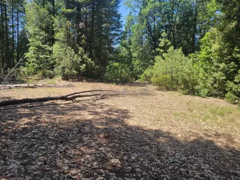 12 Ringtail, Georgetown, CA 95634 photo 3